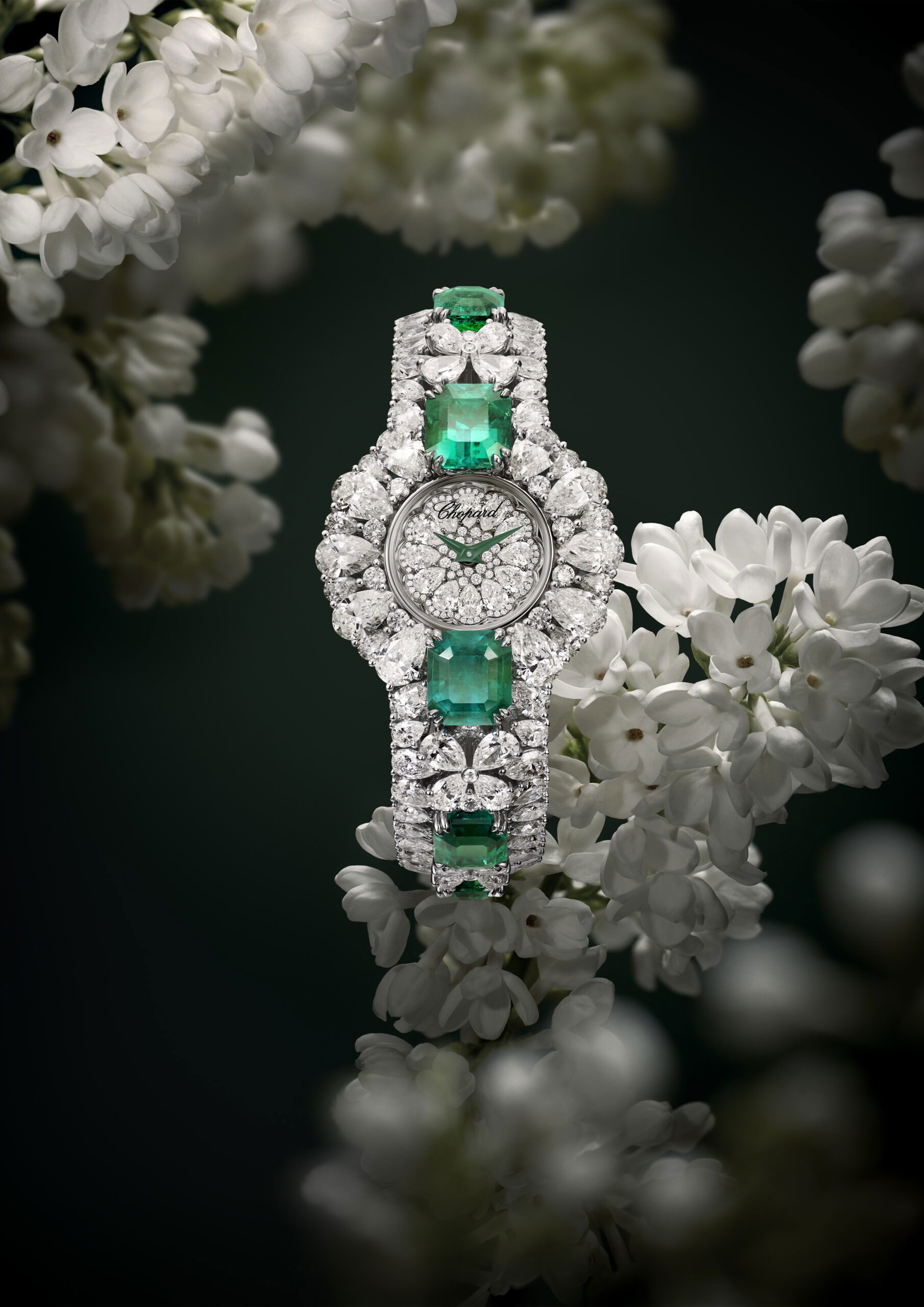 IMG_9085 Chopard Haute Joaillerie 104672-1001 Replica 2