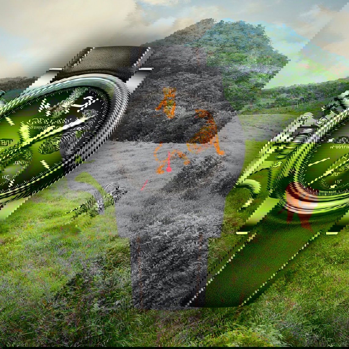 IMG_9085 Graham Chronofighter Vintage Ltd Tiger 2CVAS.B31A Replica 2