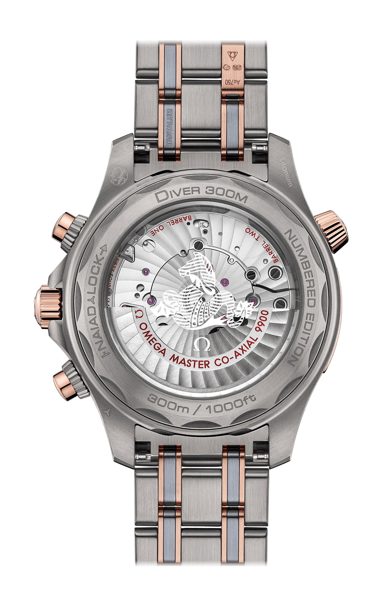 Omega Seamaster Diver 300M Co-Axial Master Chronometer Chronograph 44 mm 210.60.44.51.03.001 Replica 2