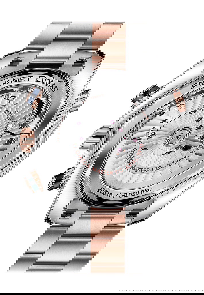 Omega Seamaster Planet Ocean 600M Co-Axial Master Chronometer Chronograph 45.5 mm 215.20.46.51.03.001 Replica 2