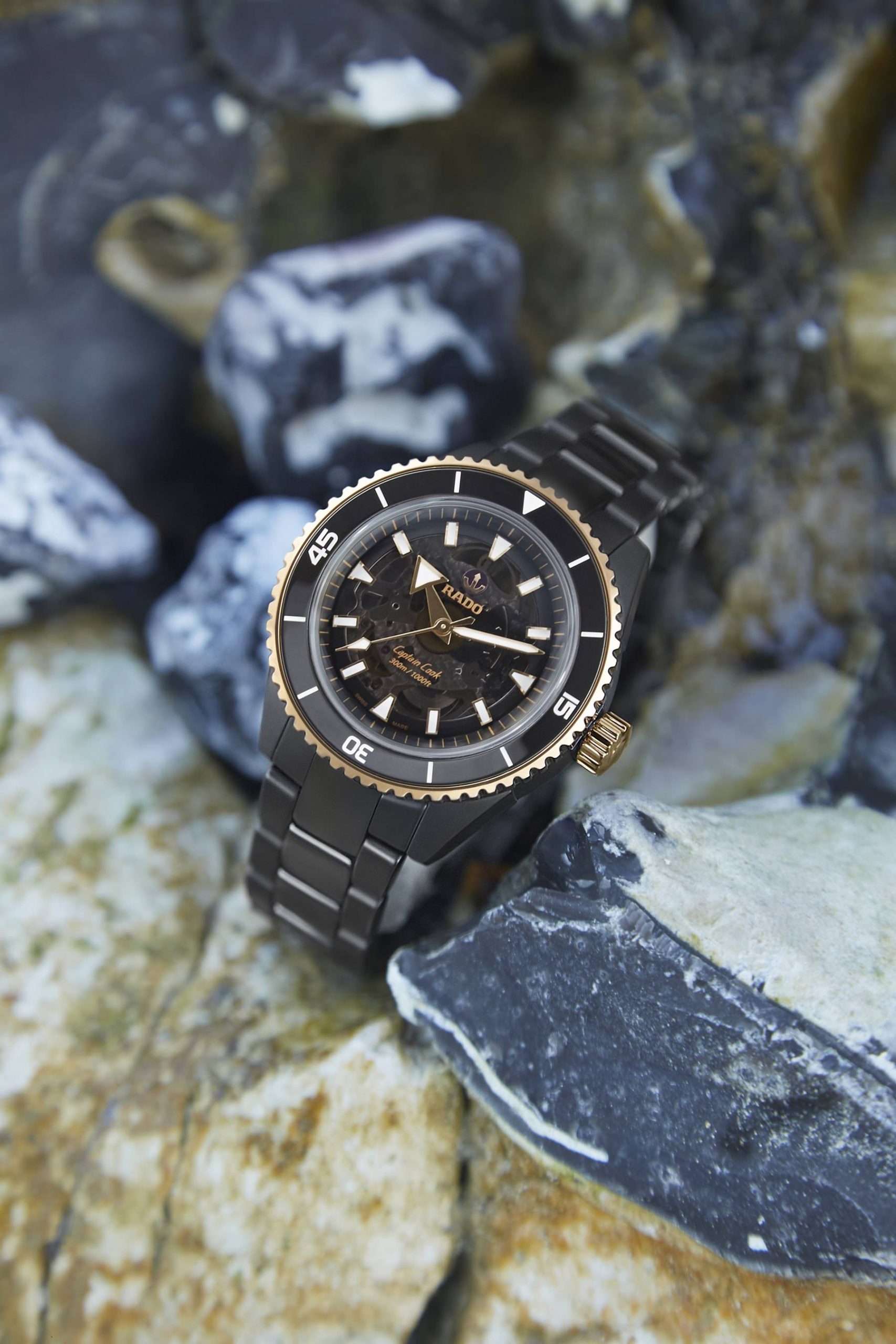 Rado Captain Cook High-Tech Ceramic R32127162 Replica 2