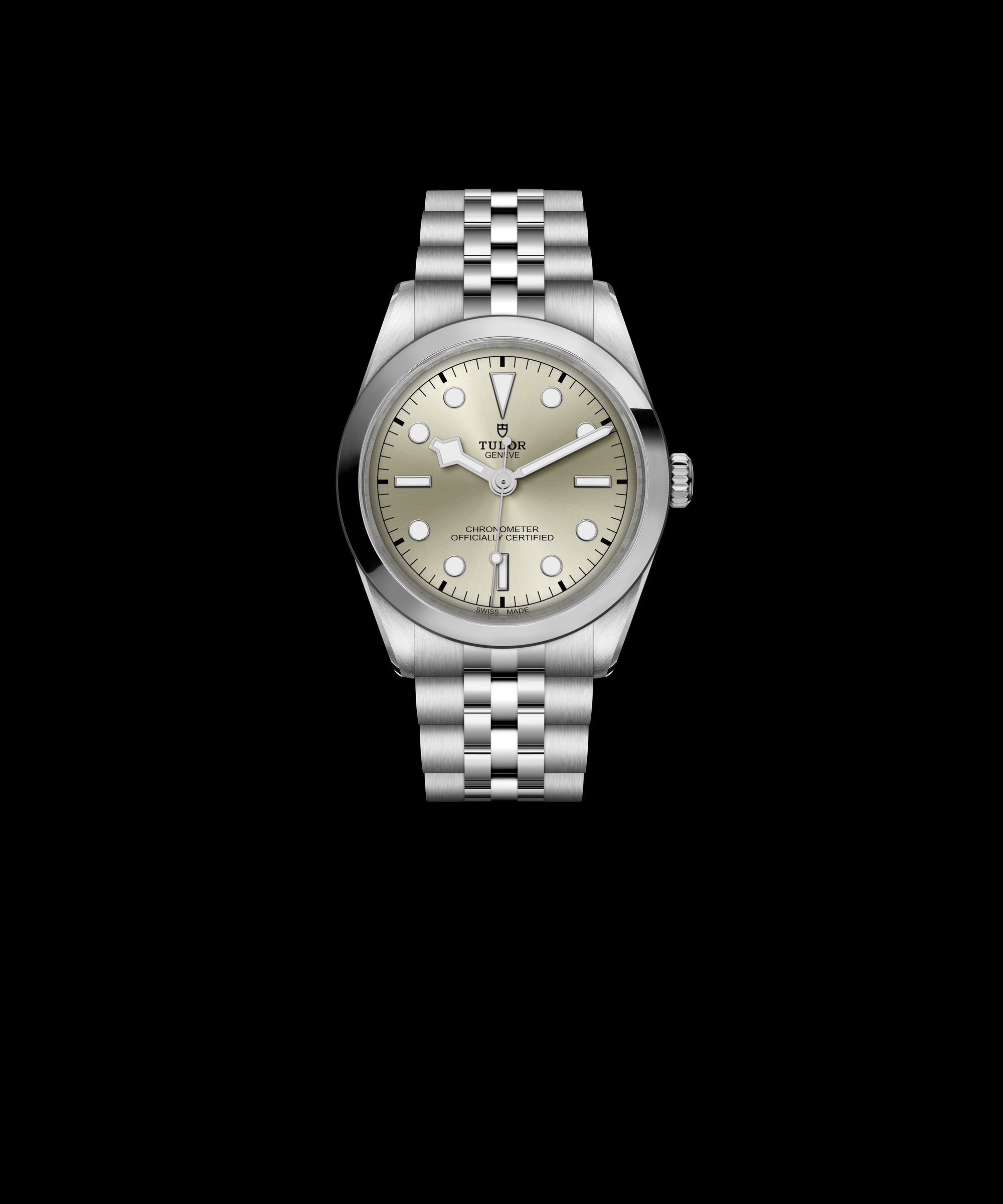 TUDOR Black Bay 36 M79640-0003 Replica 2