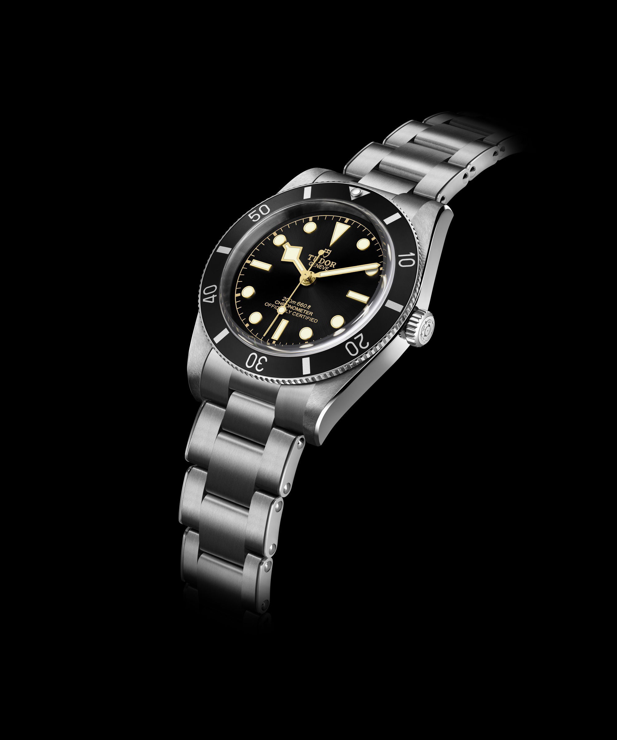 TUDOR Black Bay 54 M79000N-0001 Replica 2