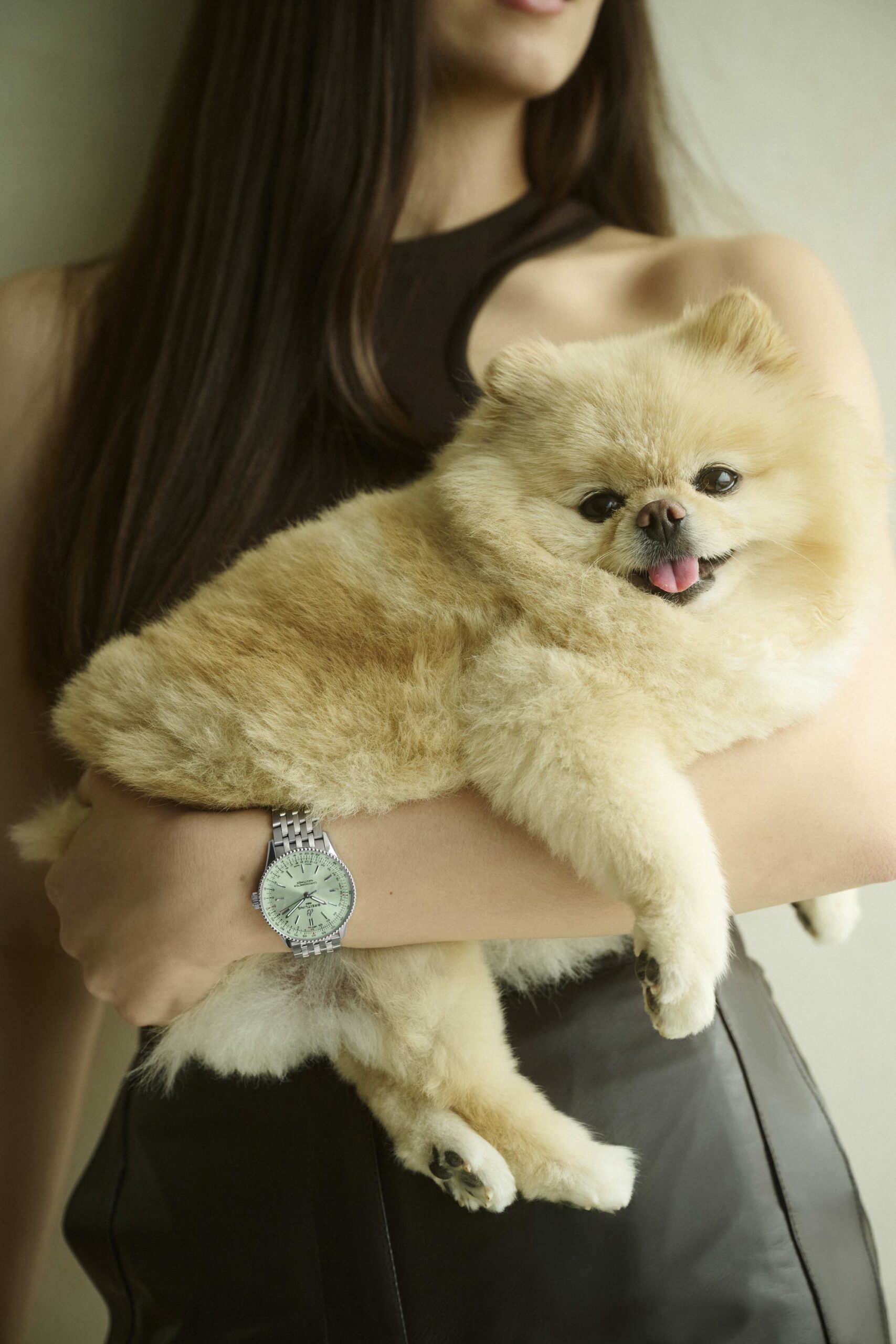 IMG_9086 Breitling Navitimer Automatic 36 A17327361L1A1 3