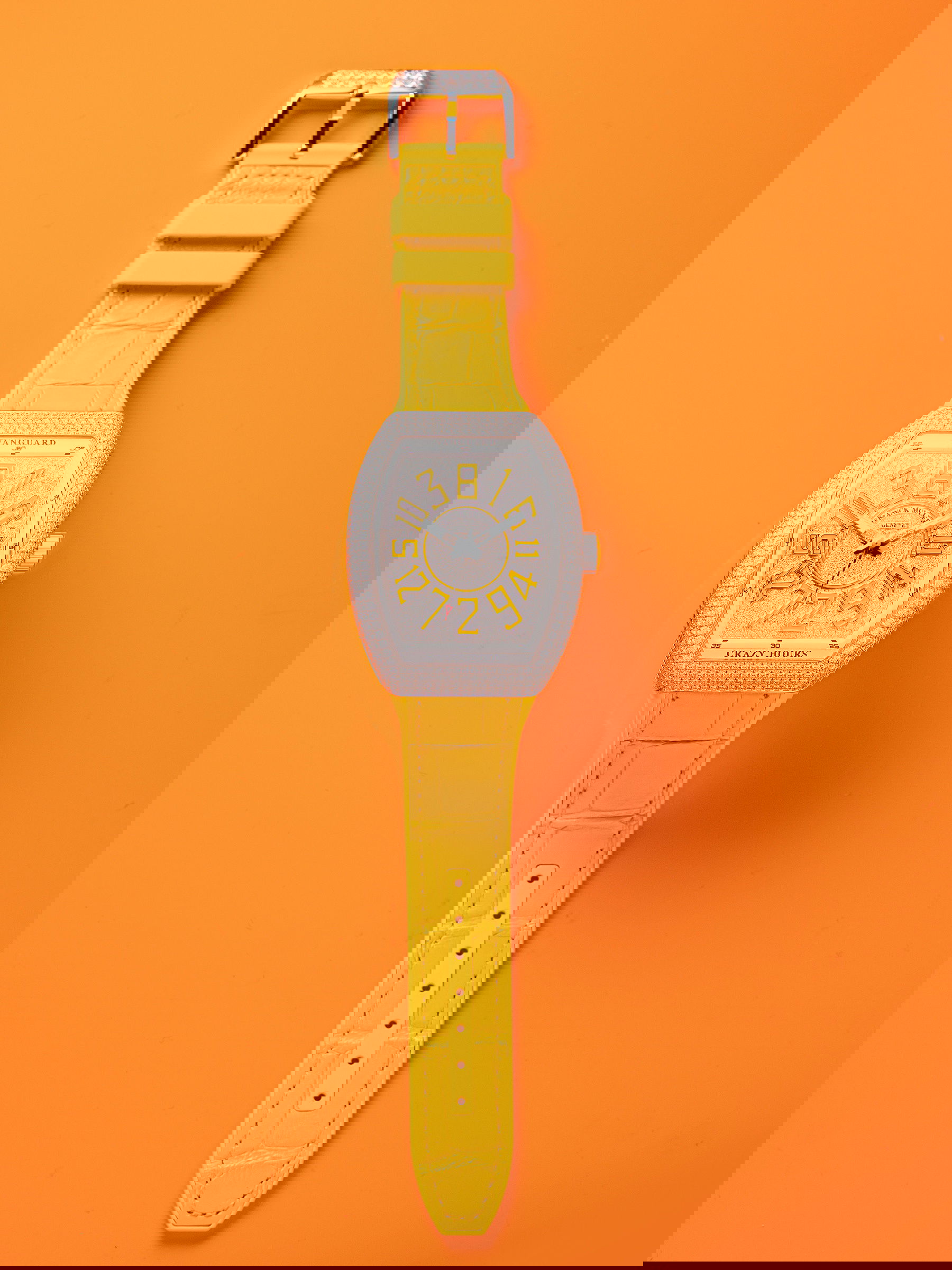 IMG_9086 Franck Muller Vanguard Crazy Hours? V 45 CH D CD (JA) 3