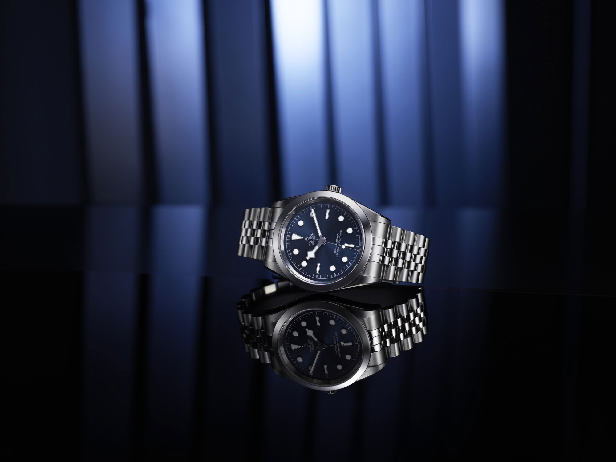 TUDOR Black Bay 39 M79660-0002 3