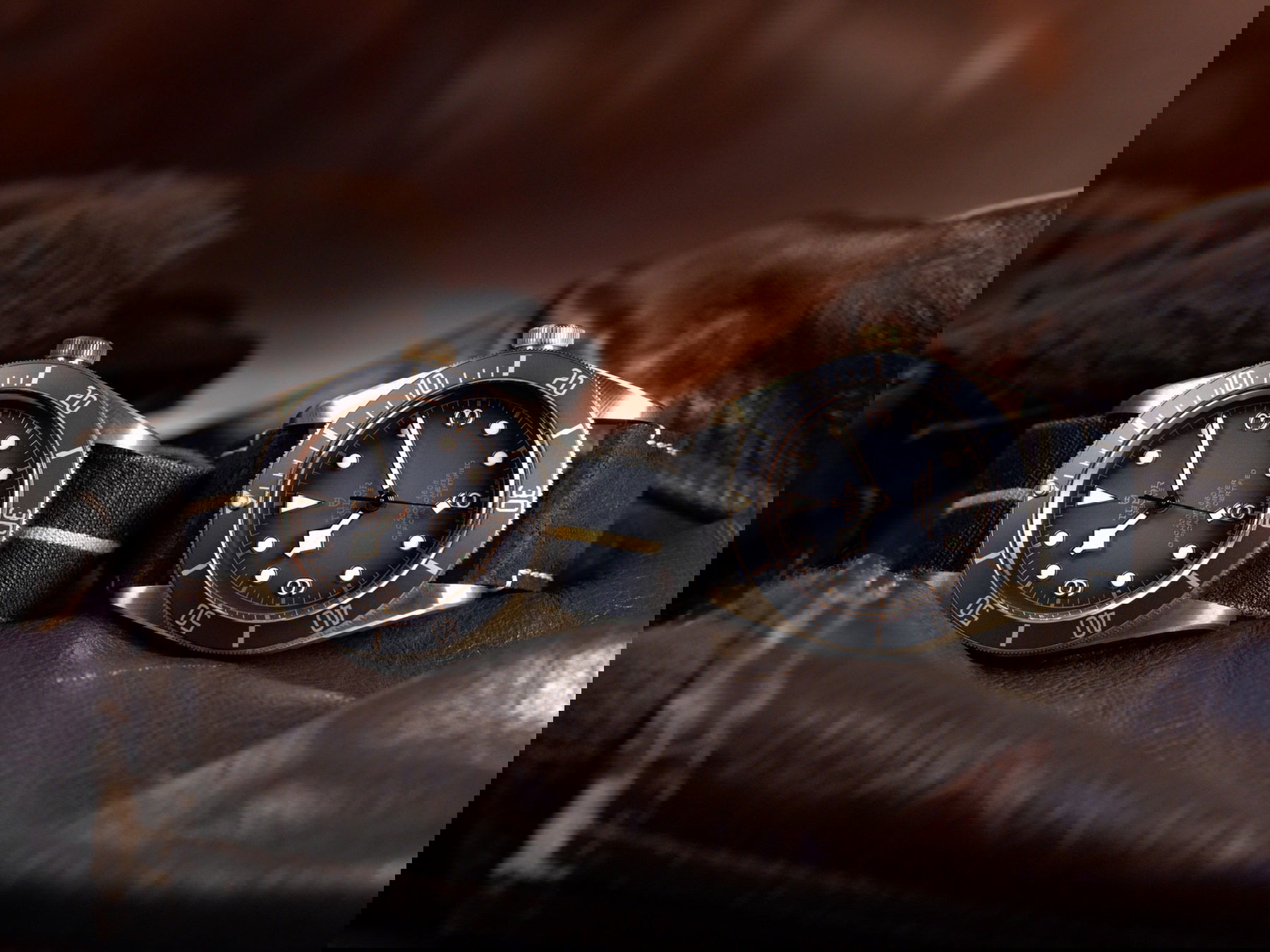 IMG_9086 TUDOR Black Bay Bronze M79250BA-0001 3