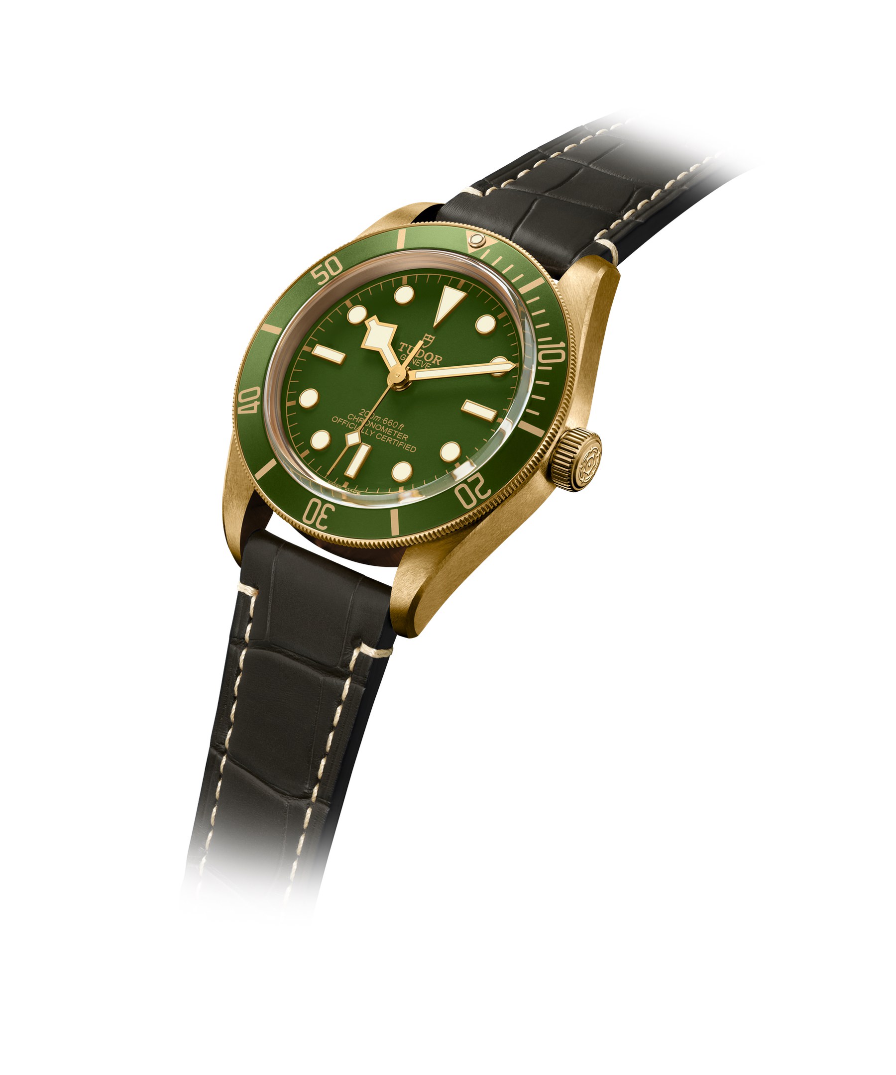 TUDOR Black Bay Fifty-Eight 18K M79018V-0001 3