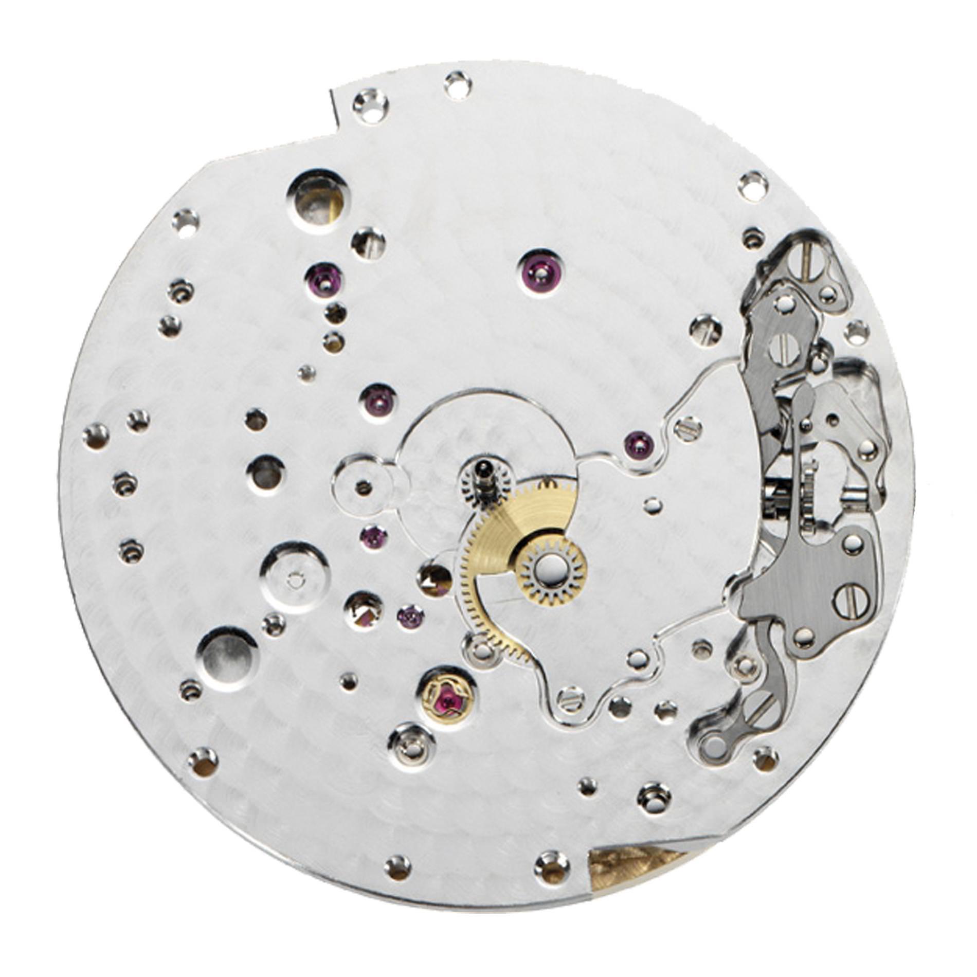 Vacheron Constantin Les Royaumes Aquatiques? Les Cabinotiers Grisaille C Turtle 2400C/000G-071C 3