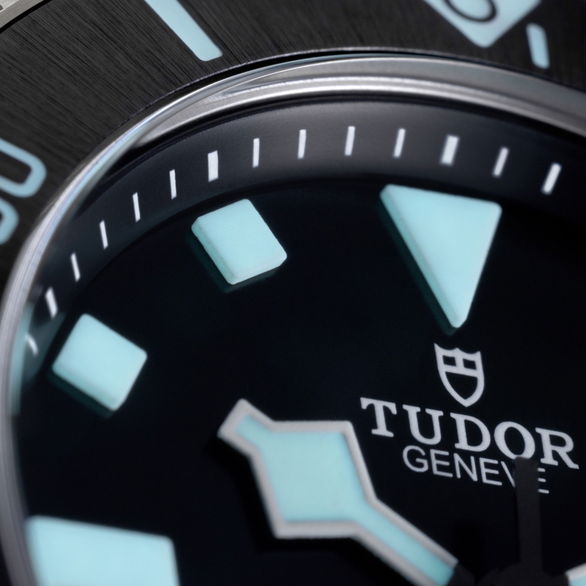 IMG_9081 TUDOR Pelagos 39 M25407N-0001 Replica 4