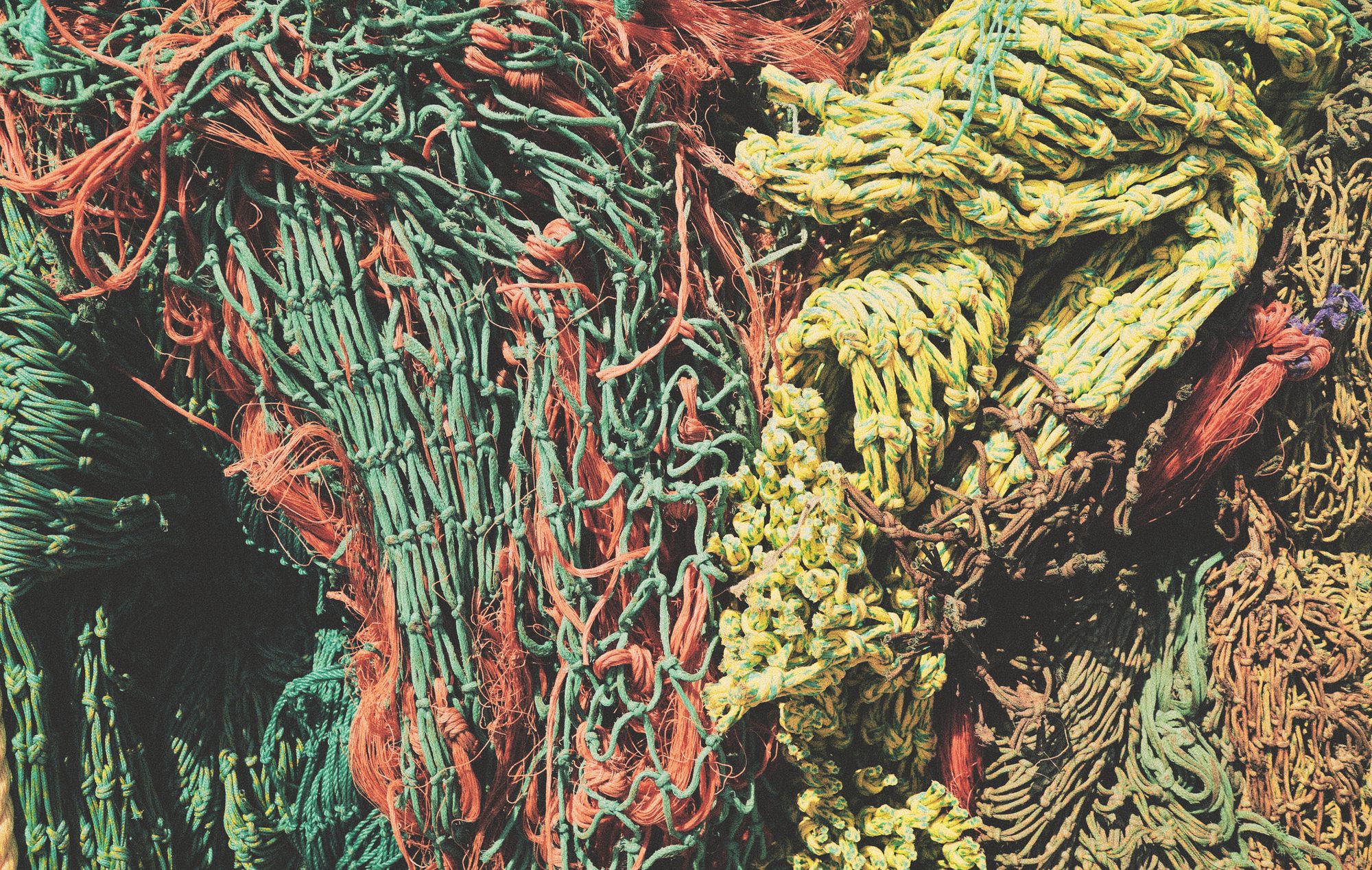 IMG_9081 Oris Oris X Bracenet 733 7730 4137 07 8 24 05PEB Replica 5