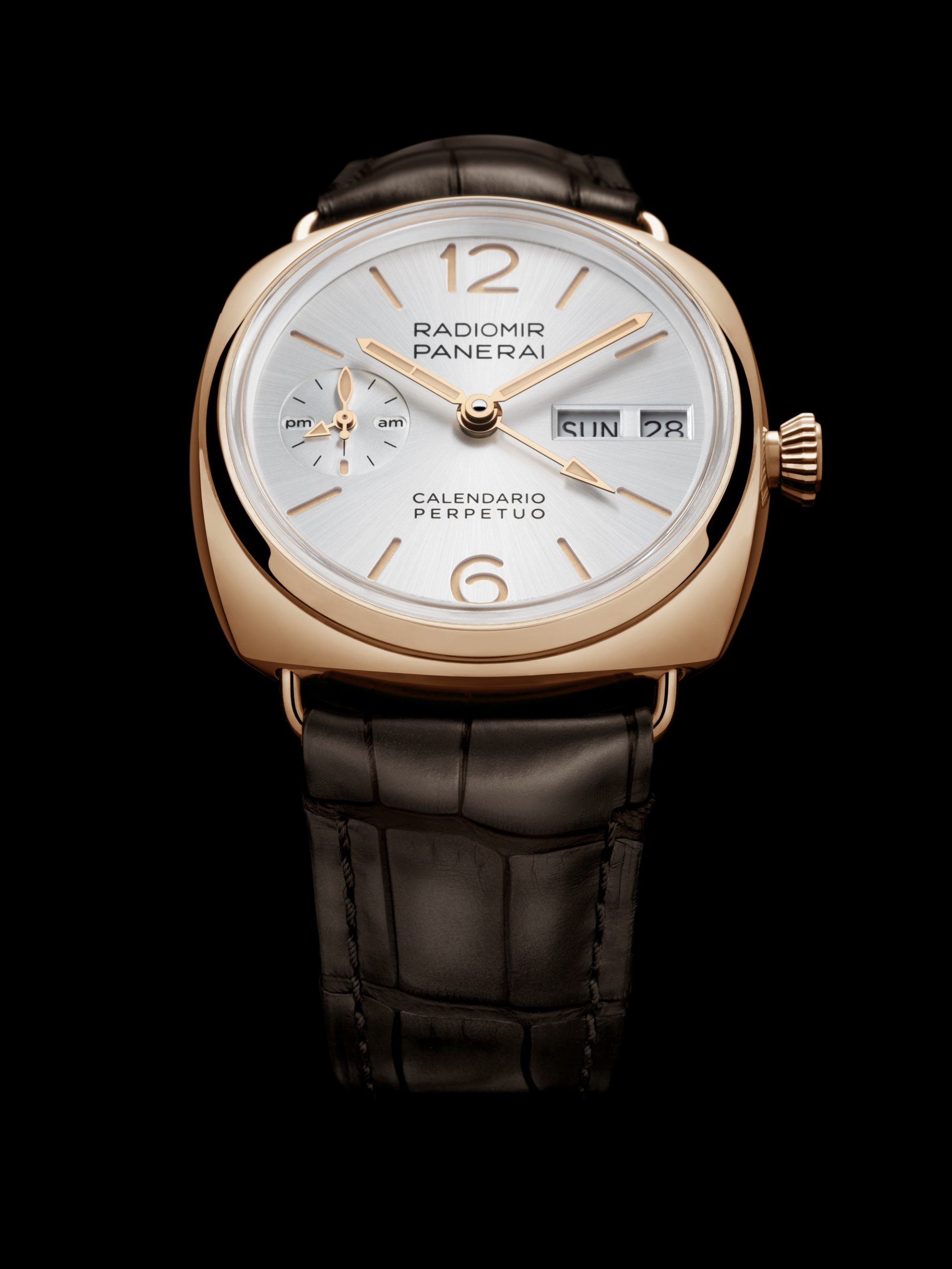 IMG_9081 Panerai Radiomir Perpetual Calendar GMT Goldtech PAM01453 Replica 5