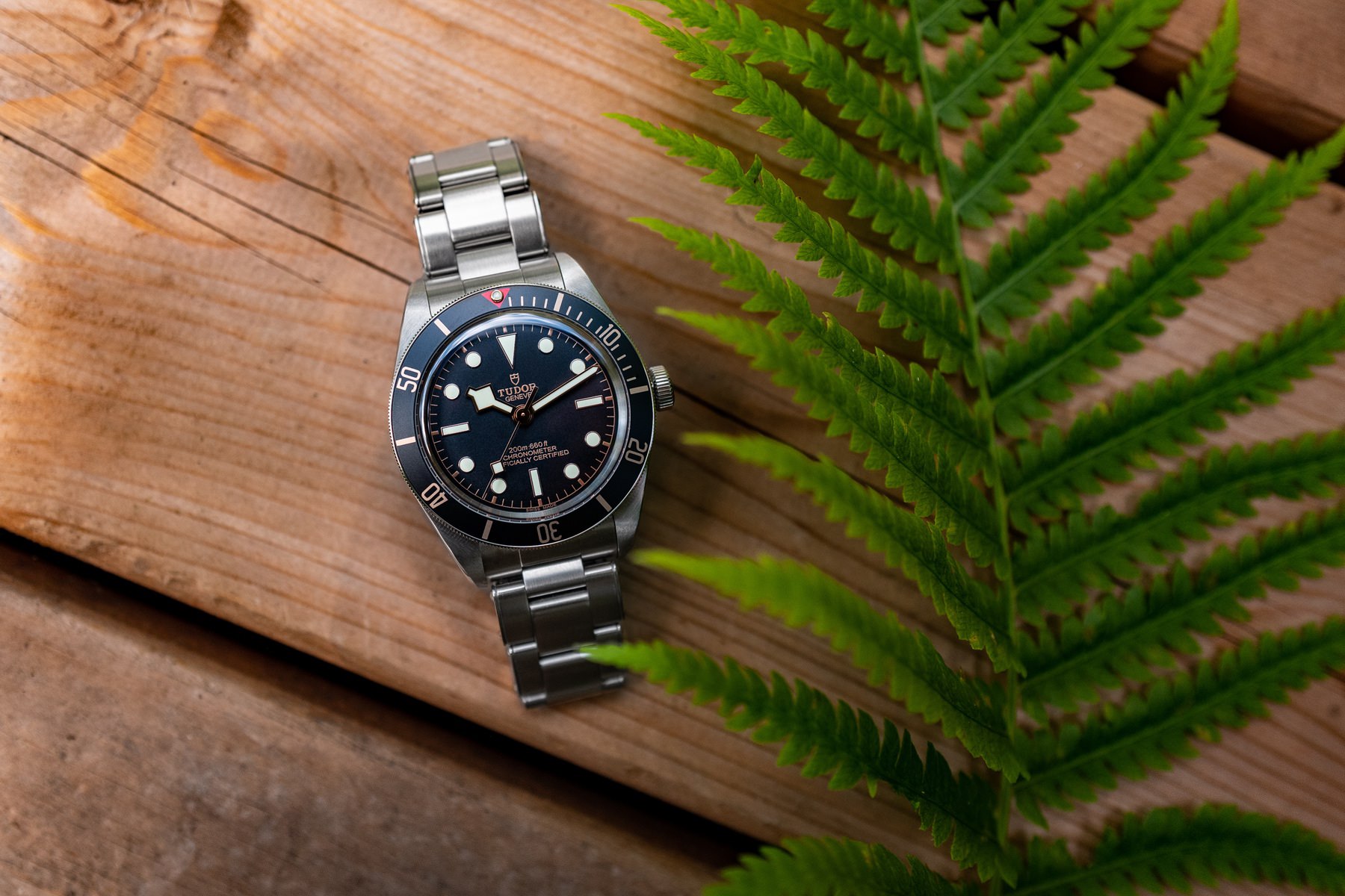 TUDOR Black Bay Fifty-Eight M79030N-0001 Replica 5