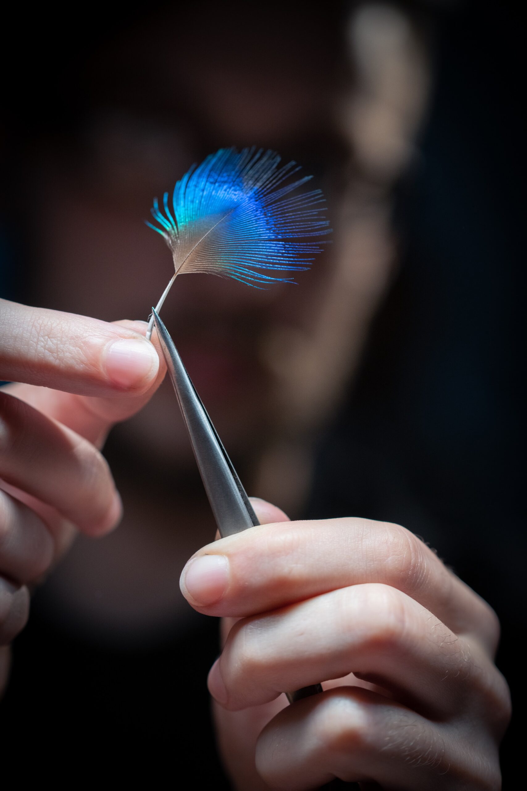 Bvlgari Divas’ Dream Peacock Dischi 103473 Replica 6