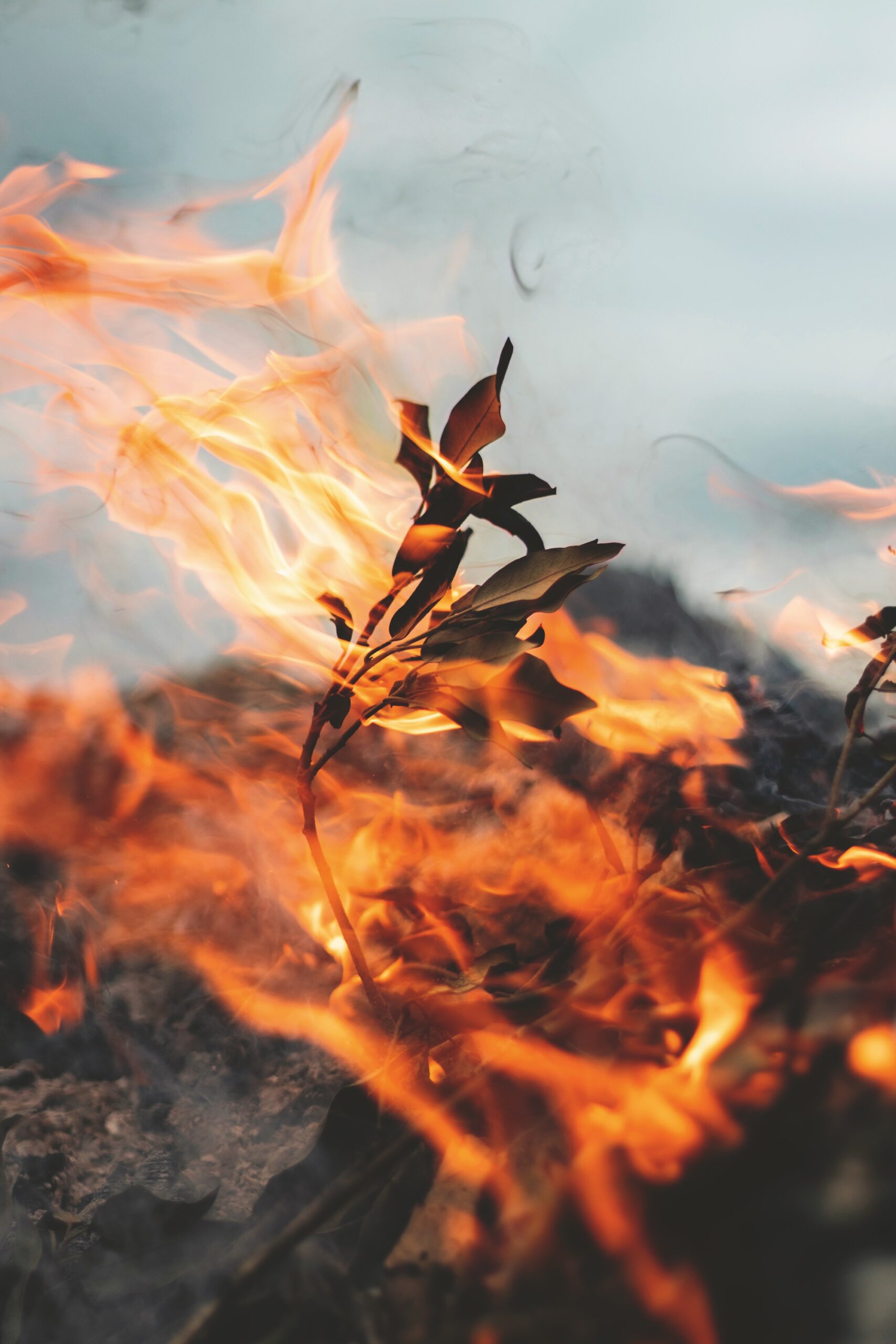 IMG_9081 Oris Coulson Limited Edition 01 400 7784 8786 set Replica 6