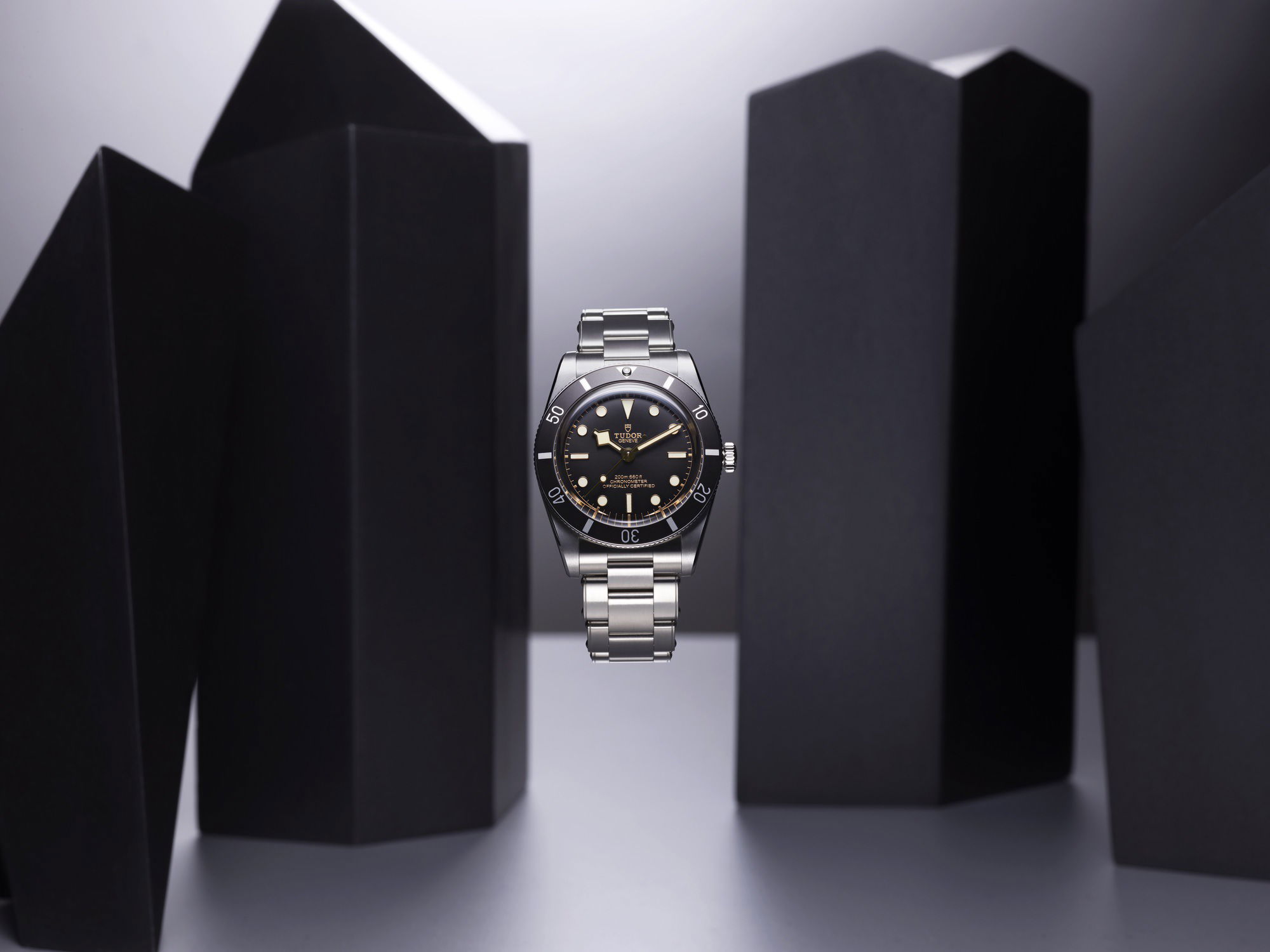 TUDOR Black Bay 54 M79000N-0001 Replica 6