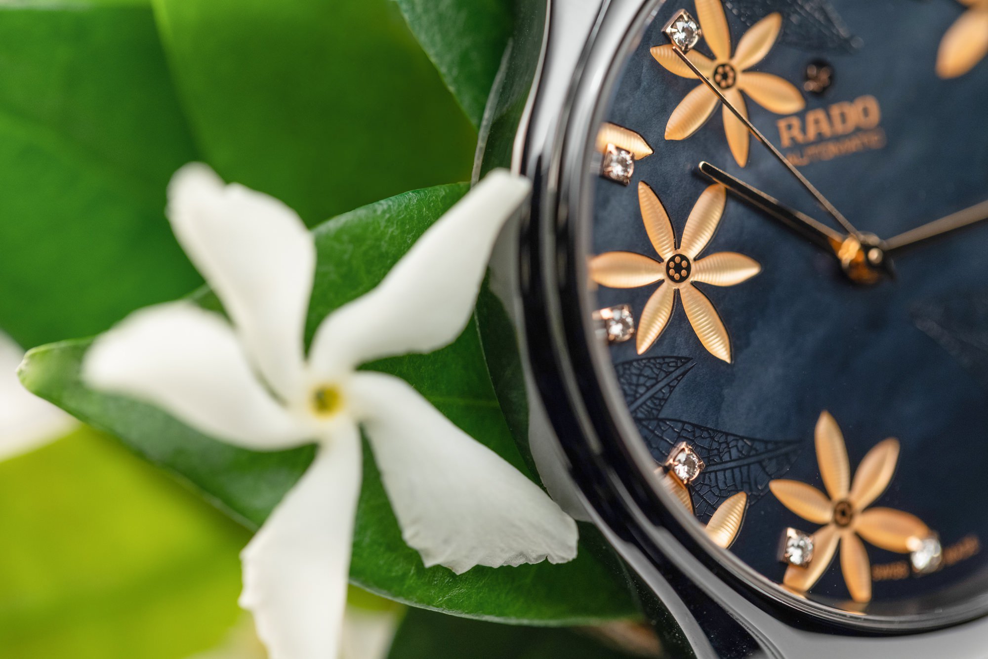 IMG_9081 Rado True Great Gardens of the World R27109902 Replica 7