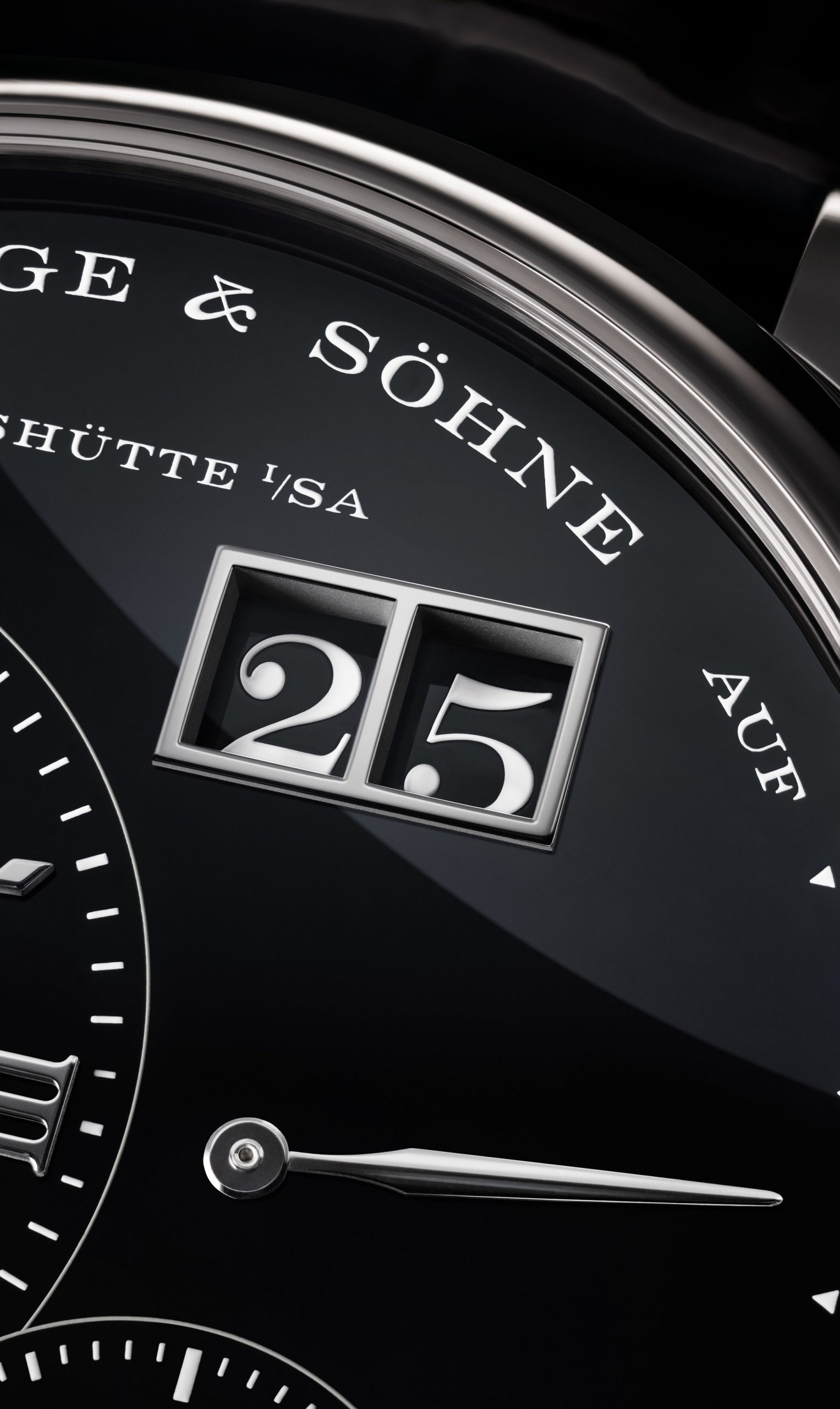 IMG_9081 A.Lange & Sohne Little Lange 1 181.062 Replica 8