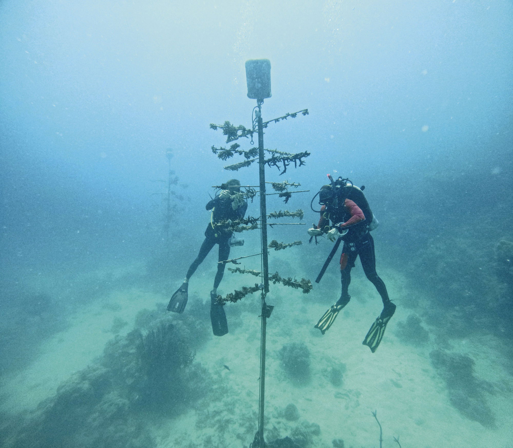 IMG_9081 Oris Aquis Great Barrier Reef Limited Edition IV 01 400 7790 4185-Set Replica 8