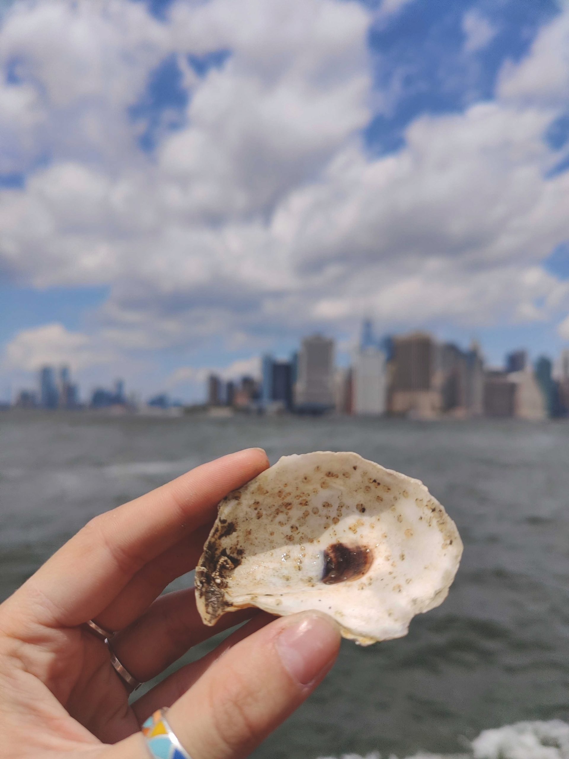 IMG_9081 Oris Aquis New York Harbor Limited Edition 01 733 7766 4187-Set Replica 8