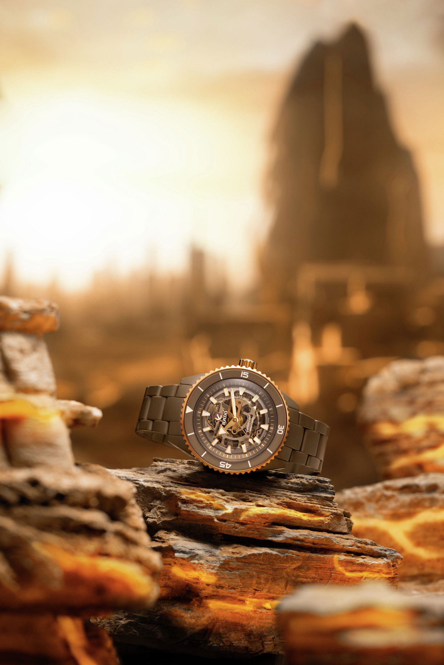 Rado Captain Cook High-Tech Ceramic Skeleton R32150162 Replica 8