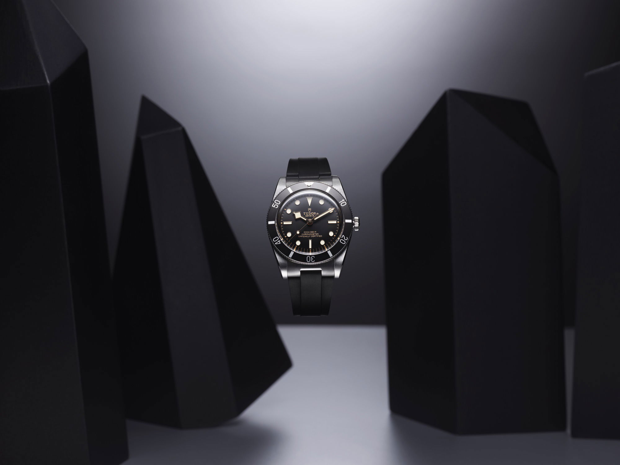 IMG_9081 TUDOR Black Bay 54 M79000N-0002 Replica 8