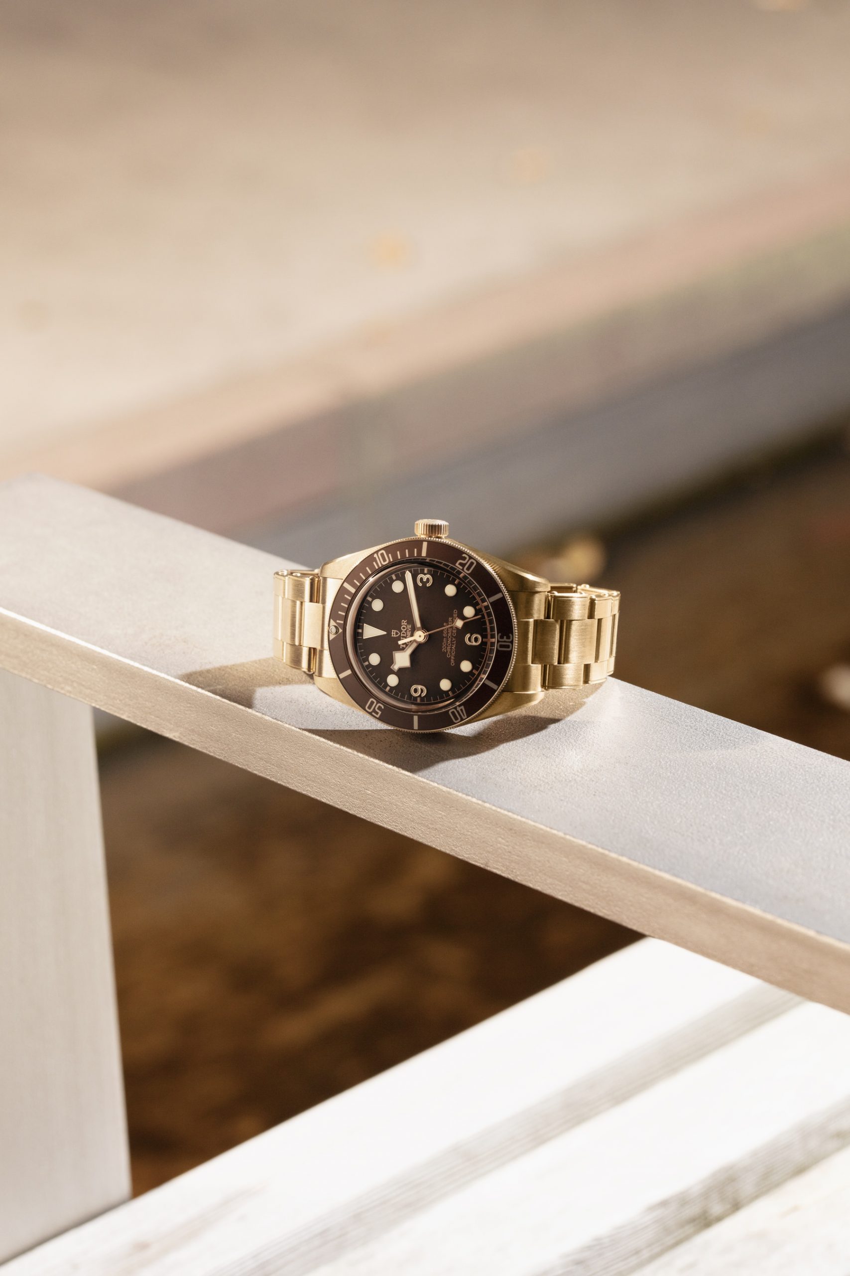 TUDOR Black Bay Fifty-Eight Bronze M79012M-0001 Replica 8