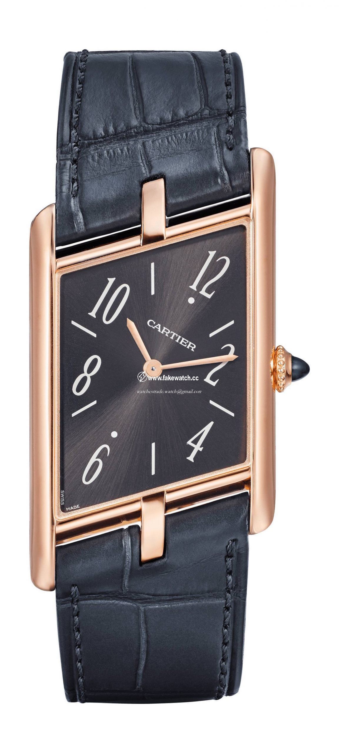 Cartier Montre Tank Asymetrique WGTA0043