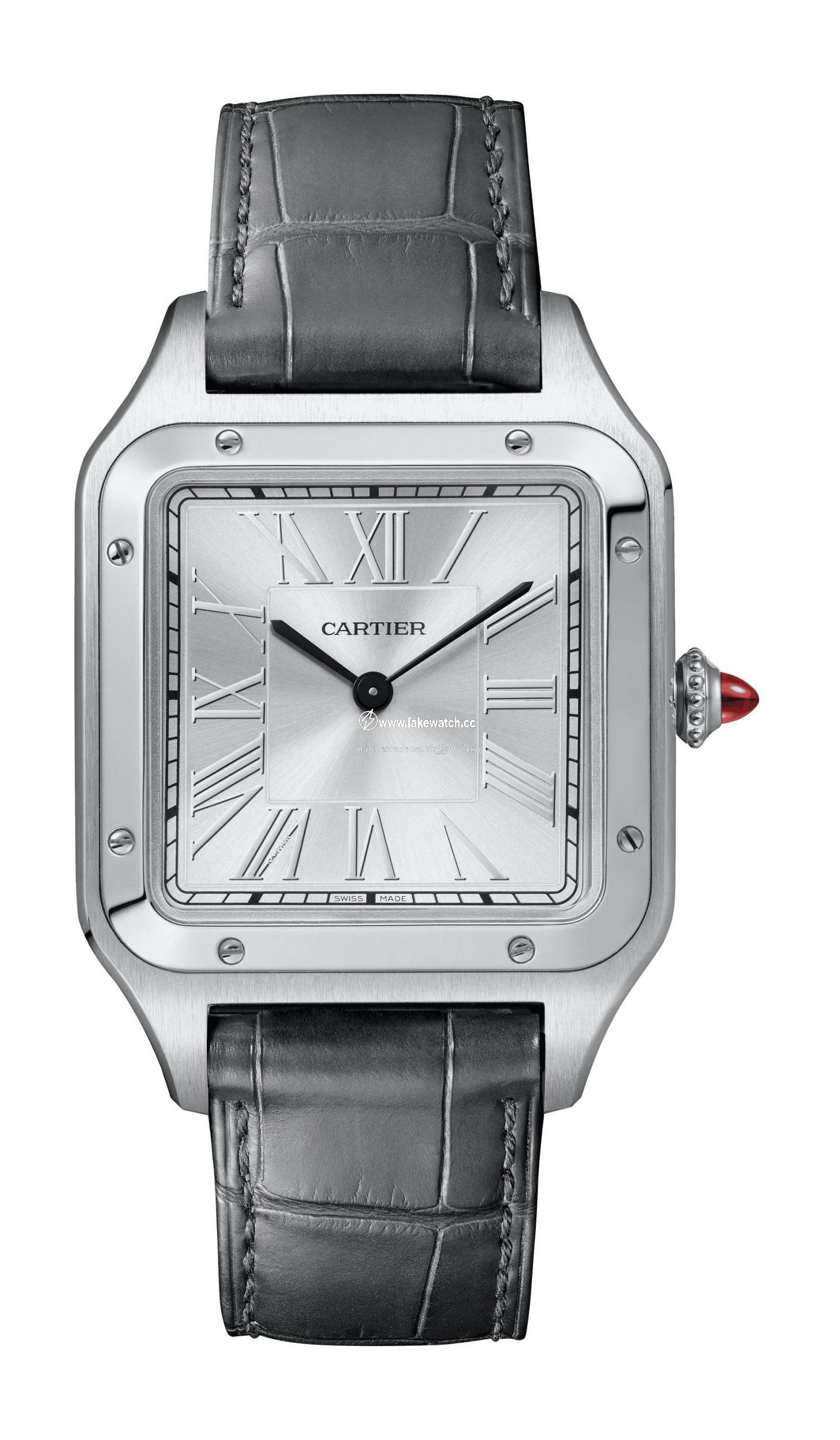 Cartier Santos-Dumont “Le Bresil” WGSA0034
