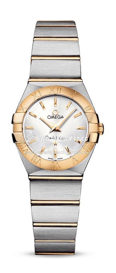Omega Constellation Quartz 24 mm 123.20.24.60.02.002