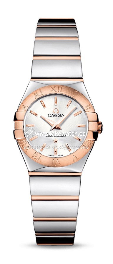 Omega Constellation Quartz 24 mm 123.20.24.60.02.003