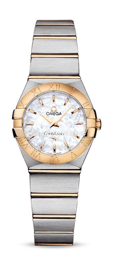 Omega Constellation Quartz 24 mm 123.20.24.60.05.002