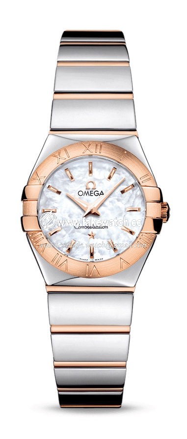 Omega Constellation Quartz 24 mm 123.20.24.60.05.003