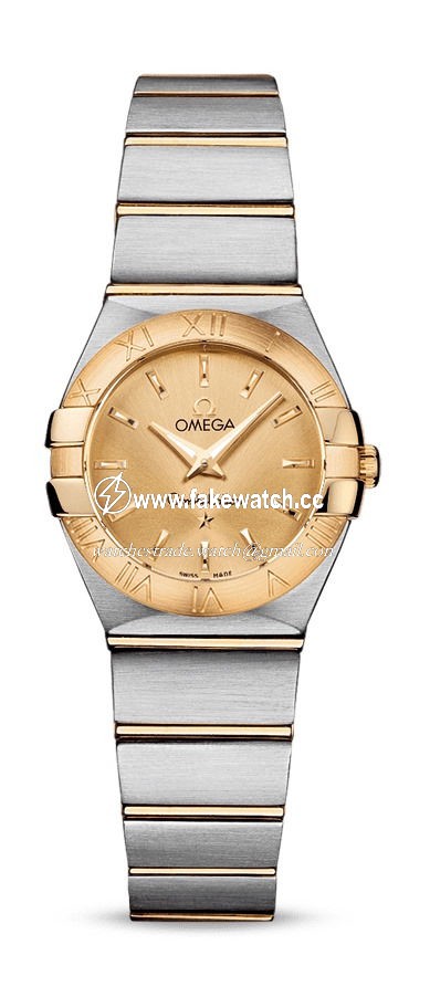 Omega Constellation Quartz 24 mm 123.20.24.60.08.001