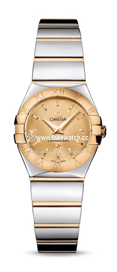 Omega Constellation Quartz 24 mm 123.20.24.60.08.002