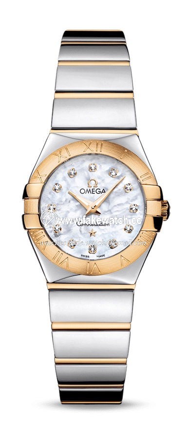 Omega Constellation Quartz 24 mm 123.20.24.60.55.004