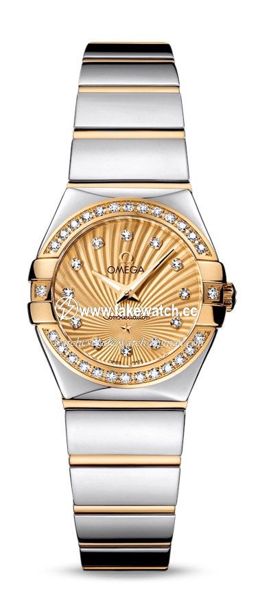 Omega Constellation Quartz 24 mm 123.25.24.60.58.002
