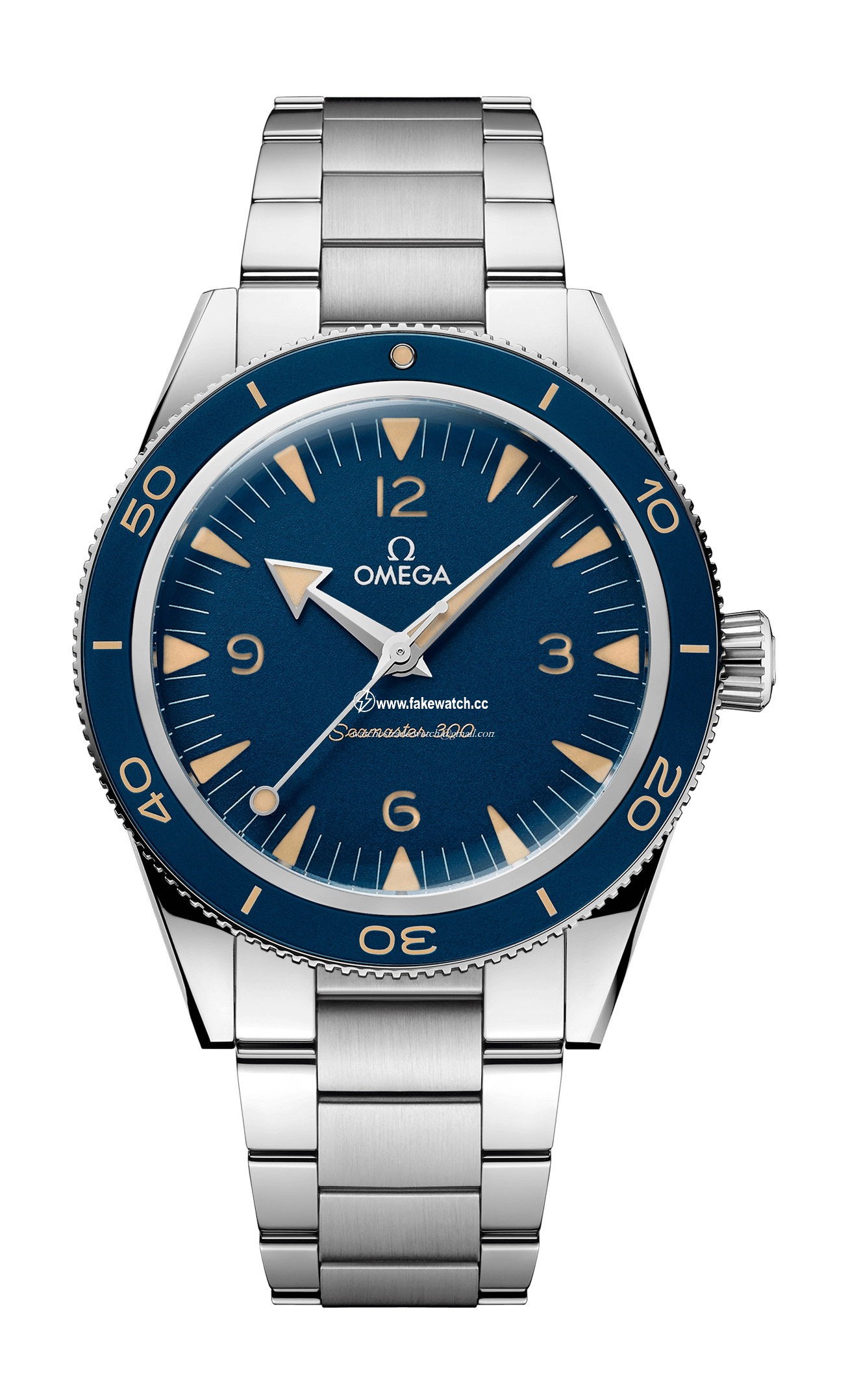 Omega Seamaster 300 Co-Axial Master Chronometer 41 mm 234.3041.21.03.001