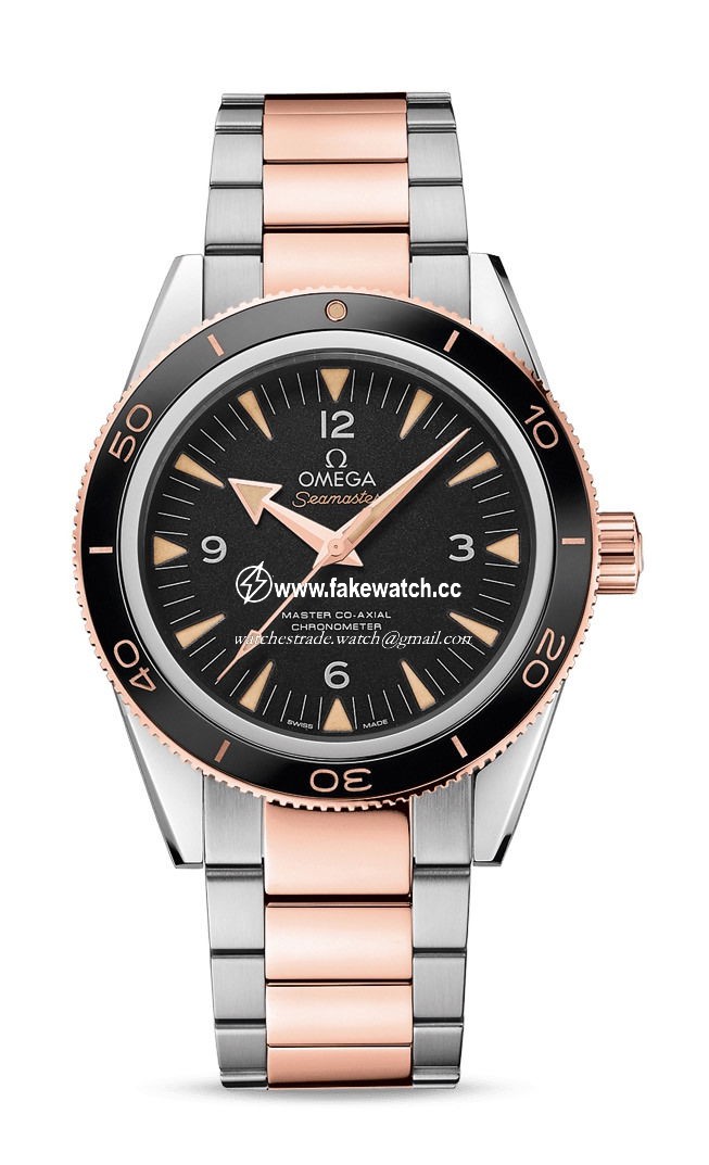 Omega Seamaster 300 Master Co-Axial Chronometer 41 mm 233.20.41.21.01.001