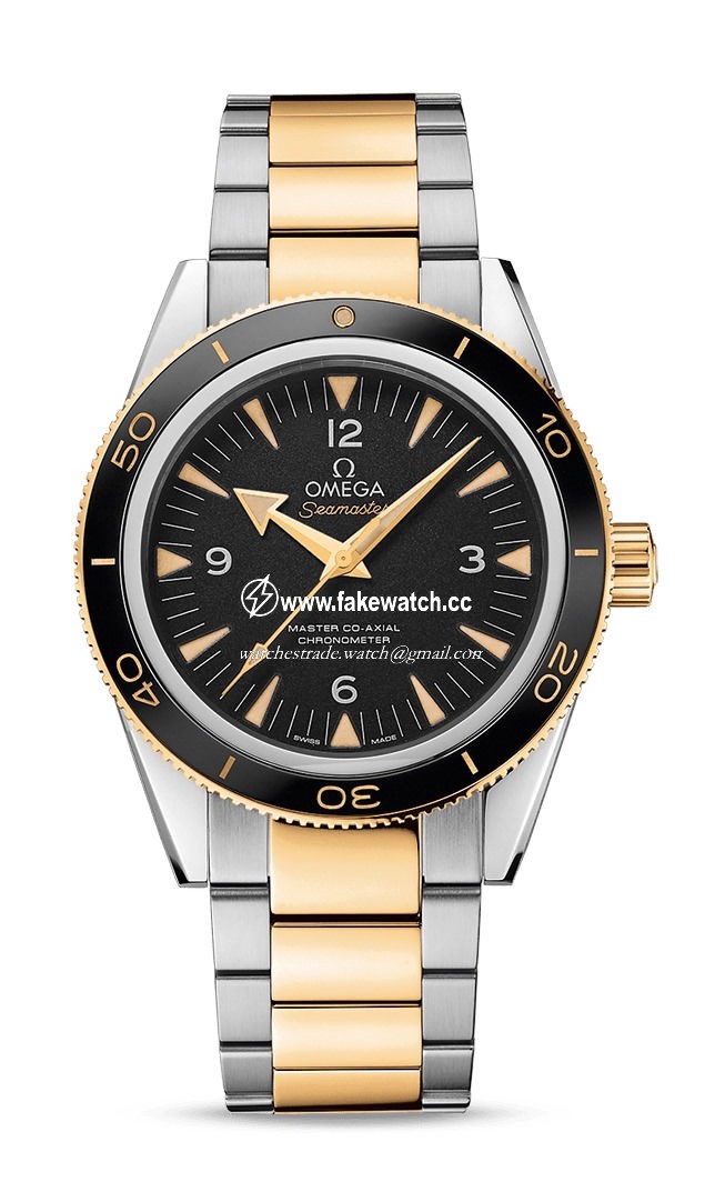 Omega Seamaster 300 Master Co-Axial Chronometer 41 mm 233.20.41.21.01.002