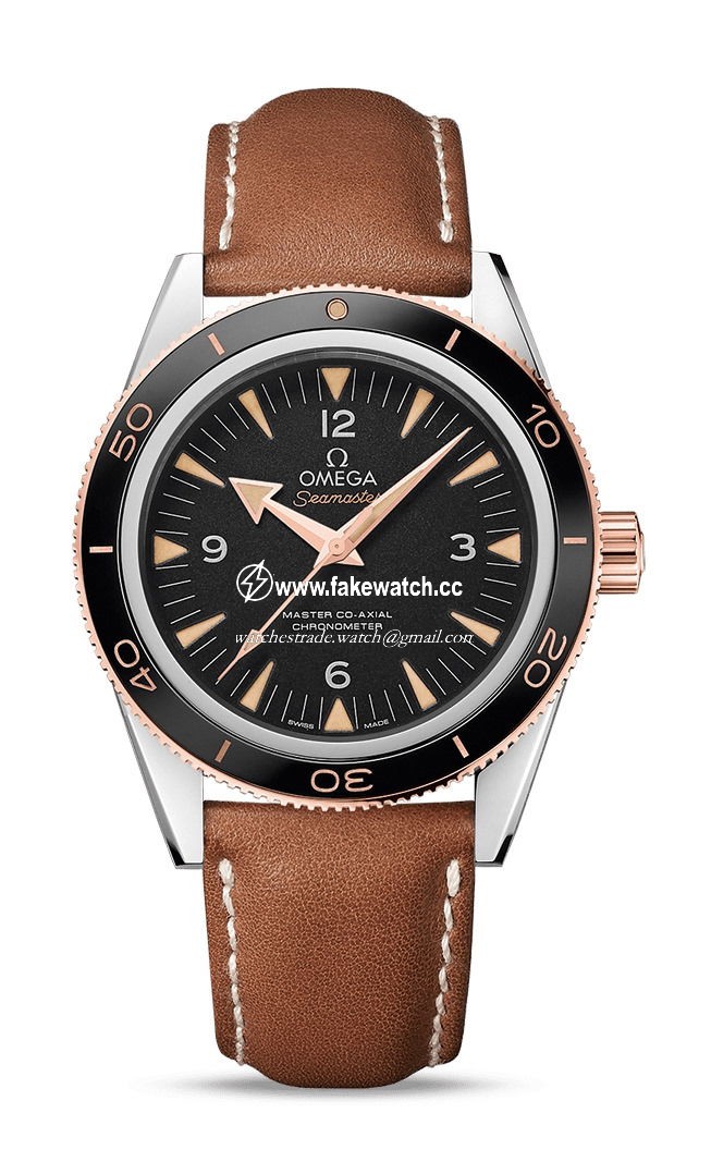 Omega Seamaster 300 Master Co-Axial Chronometer 41 mm 233.22.41.21.01.002