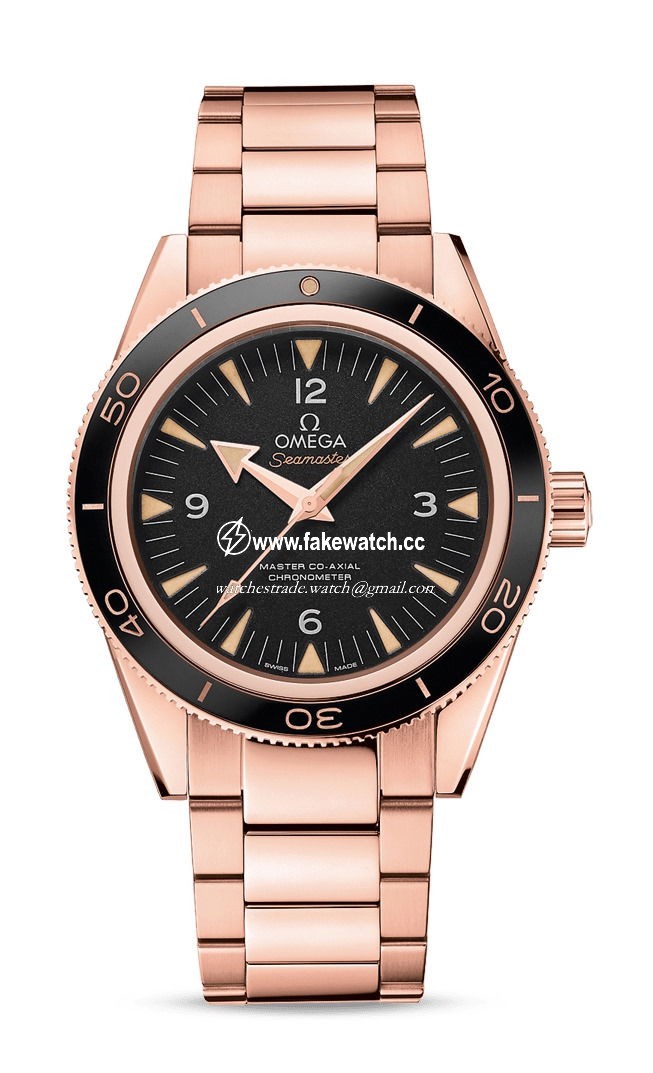 Omega Seamaster 300 Master Co-Axial Chronometer 41 mm 233.60.41.21.01.001