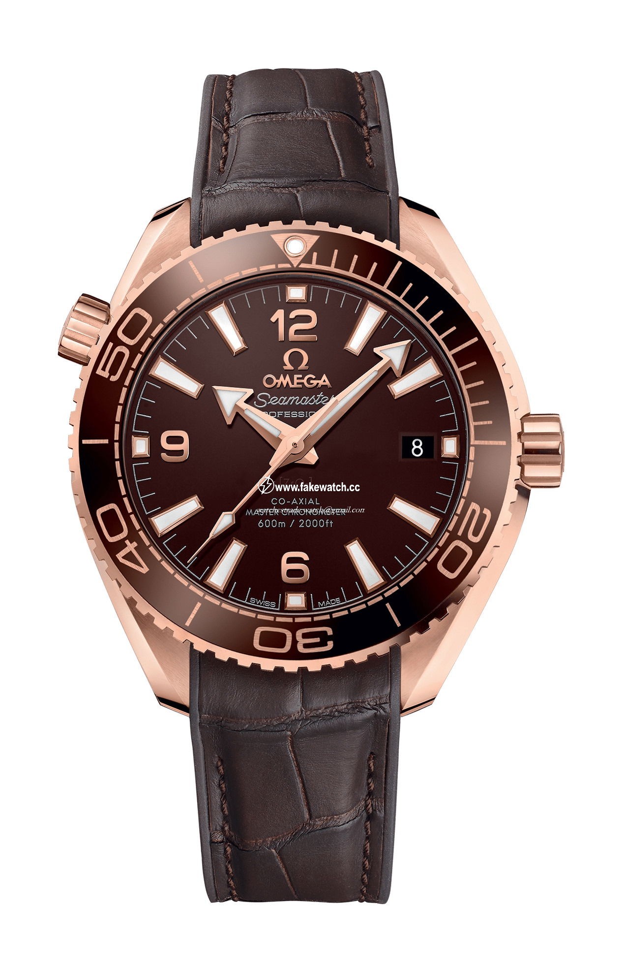 Omega Seamaster Planet Ocean 600M Co-Axial Master Chronometer 39.5 mm 215.63.40.20.13.001