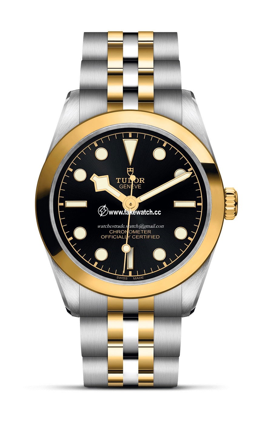 TUDOR Black Bay 31 S&G M79603-0001
