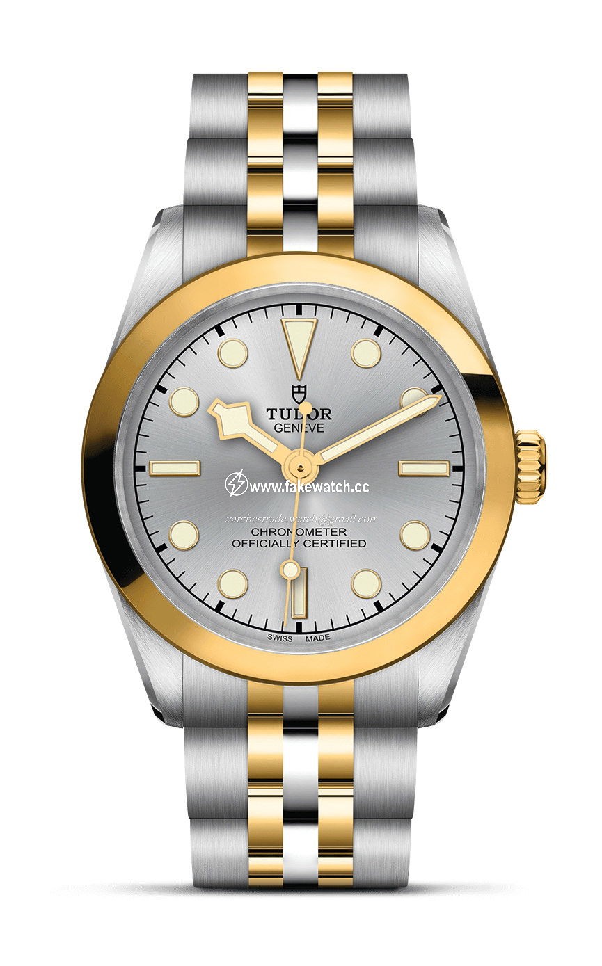 TUDOR Black Bay 31 S&G M79603-0002