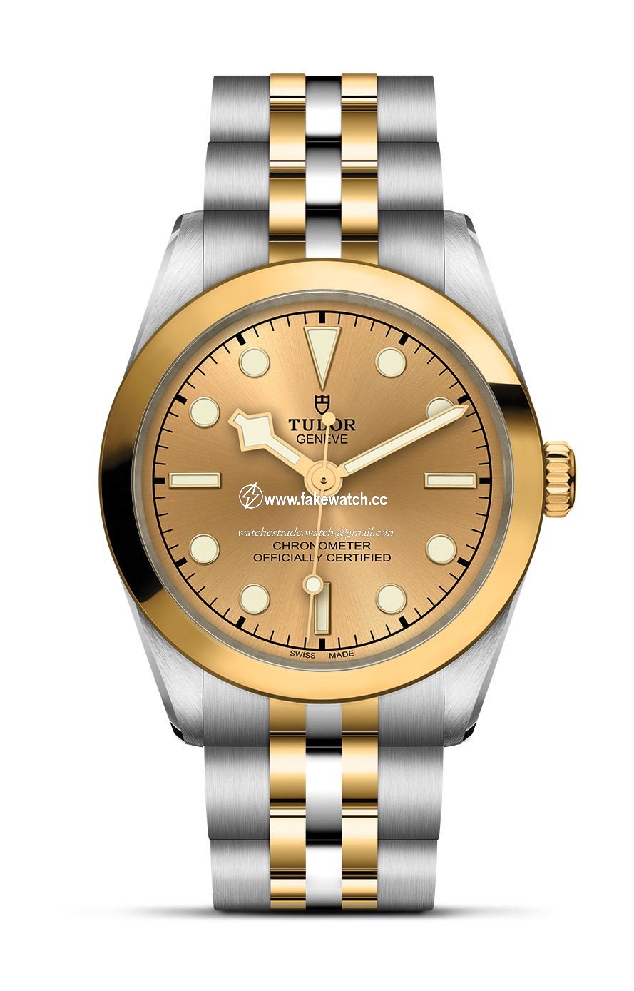 TUDOR Black Bay 31 S&G M79603-0005