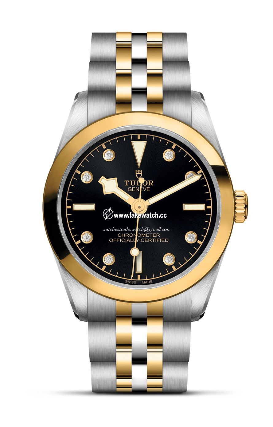 TUDOR Black Bay 31 S&G M79603-0006