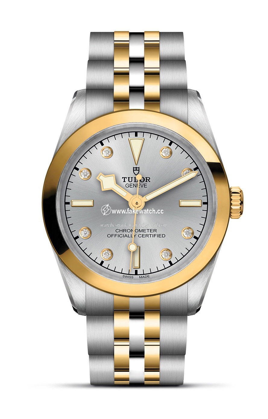 TUDOR Black Bay 31 S&G M79603-0007