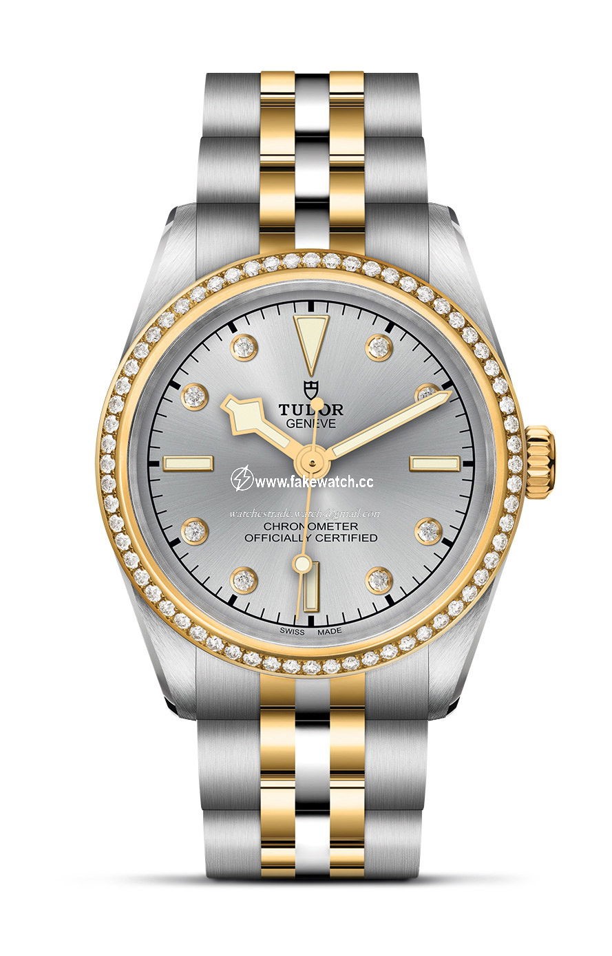 TUDOR Black Bay 31 S&G M79613-0006