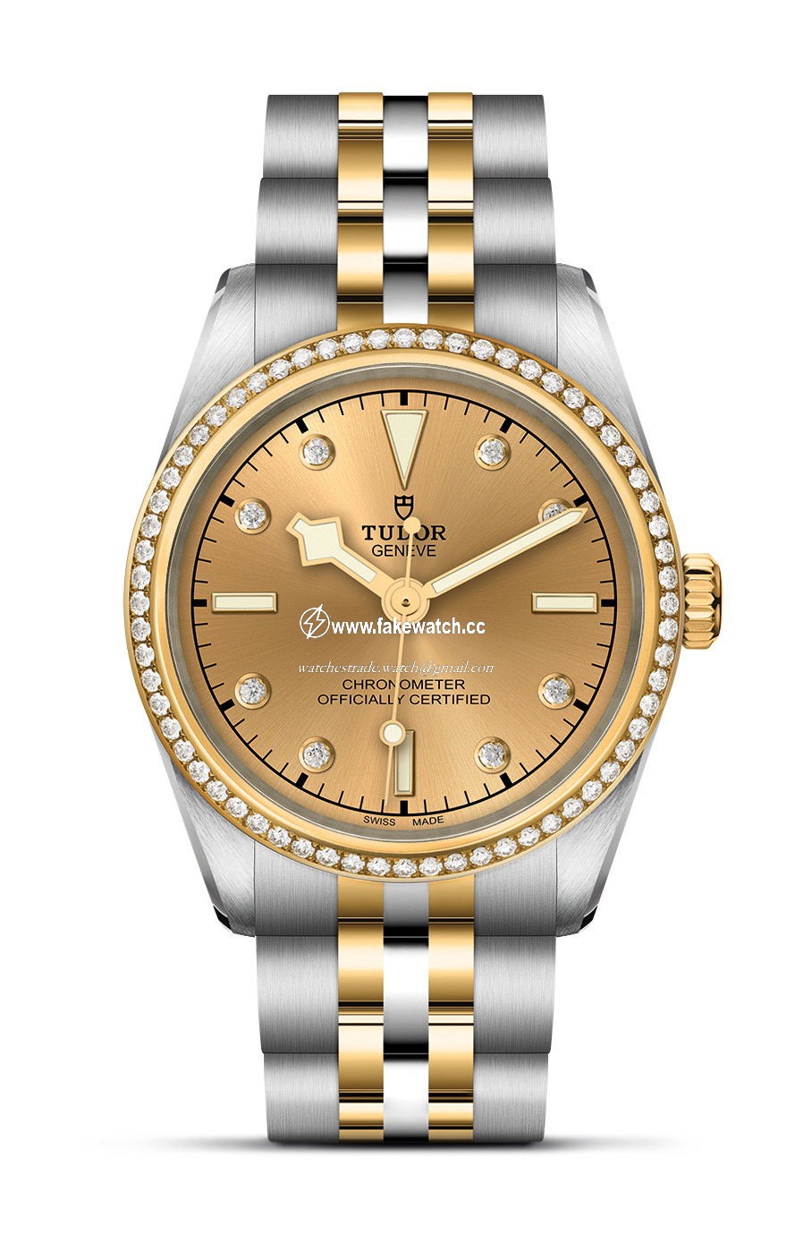 TUDOR Black Bay 31 S&G M79613-0007